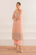 Baroque | Velvet Formals | CHIFFON UF-697 - House Of Hania