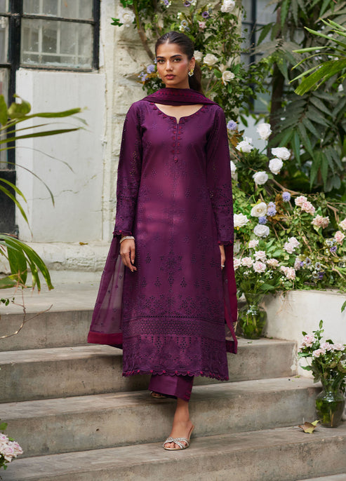 Bin Ilyas | Carnival Summer Edit 25 | Amora - House Of Hania