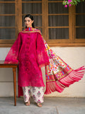 Bin Ilyas | Gulrukh Khaddar 25 | 66-B - House Of Hania