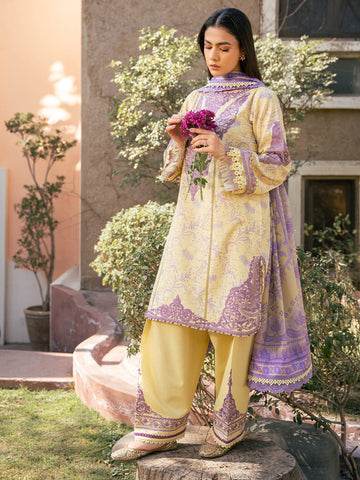 Bin Ilyas | Hazel Printed Lawn 25 | 2074 - A - House Of Hania