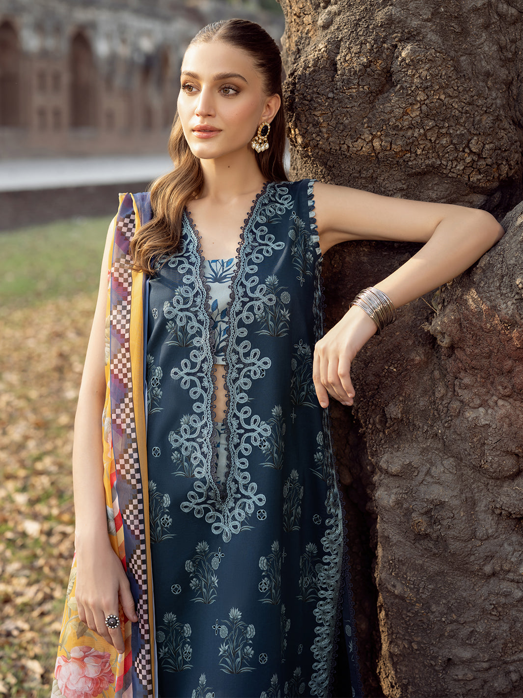 Bin Ilyas | Naqsh Naaz Luxury Lawn 25 | 2082 - B - House Of Hania