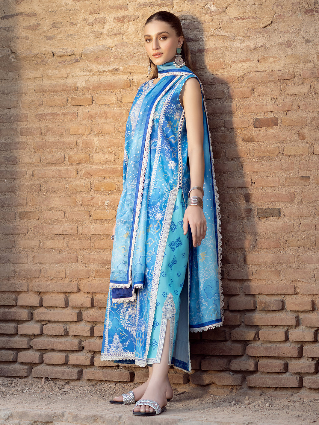 Bin Ilyas | Naqsh Naaz Luxury Lawn 25 | 2084 - B - House Of Hania