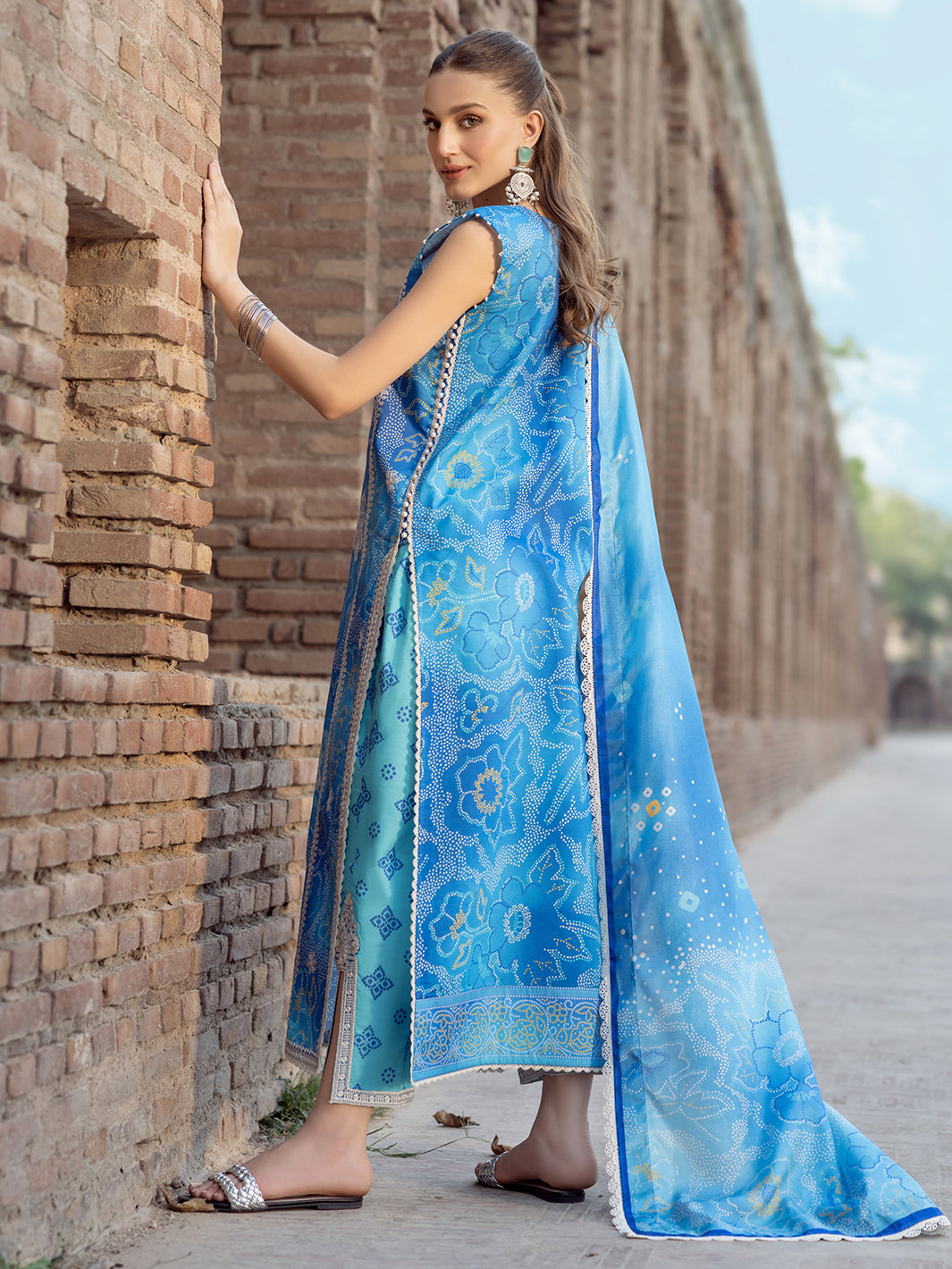 Bin Ilyas | Naqsh Naaz Luxury Lawn 25 | 2084 - B - House Of Hania