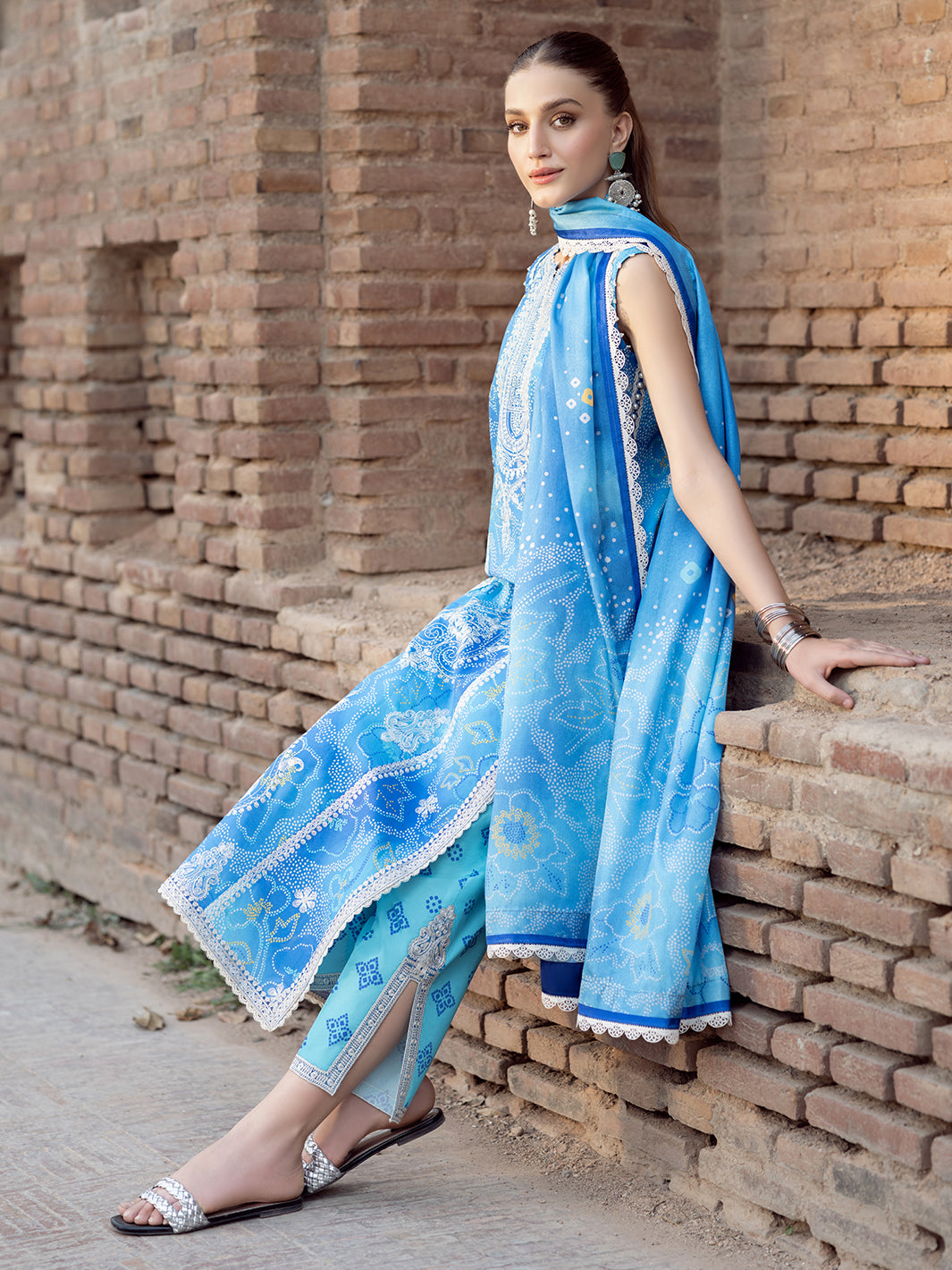 Bin Ilyas | Naqsh Naaz Luxury Lawn 25 | 2084 - B - House Of Hania