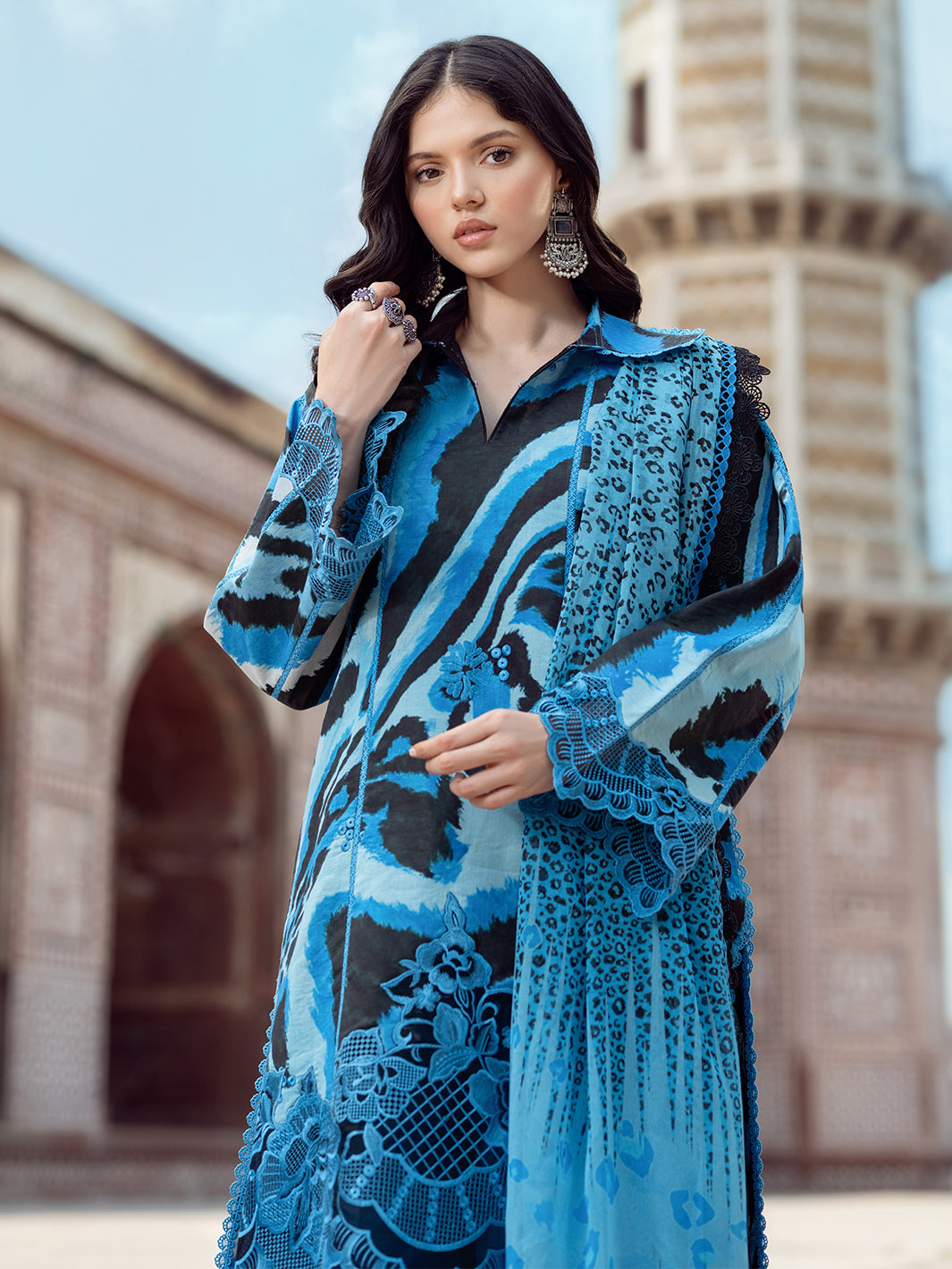 Bin Ilyas | Naqsh Naaz Luxury Lawn 25 | 2086 - D - House Of Hania