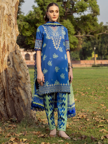 Bin Ilyas | Naqsh Naaz Luxury Lawn 25 | 2088 - B - House Of Hania