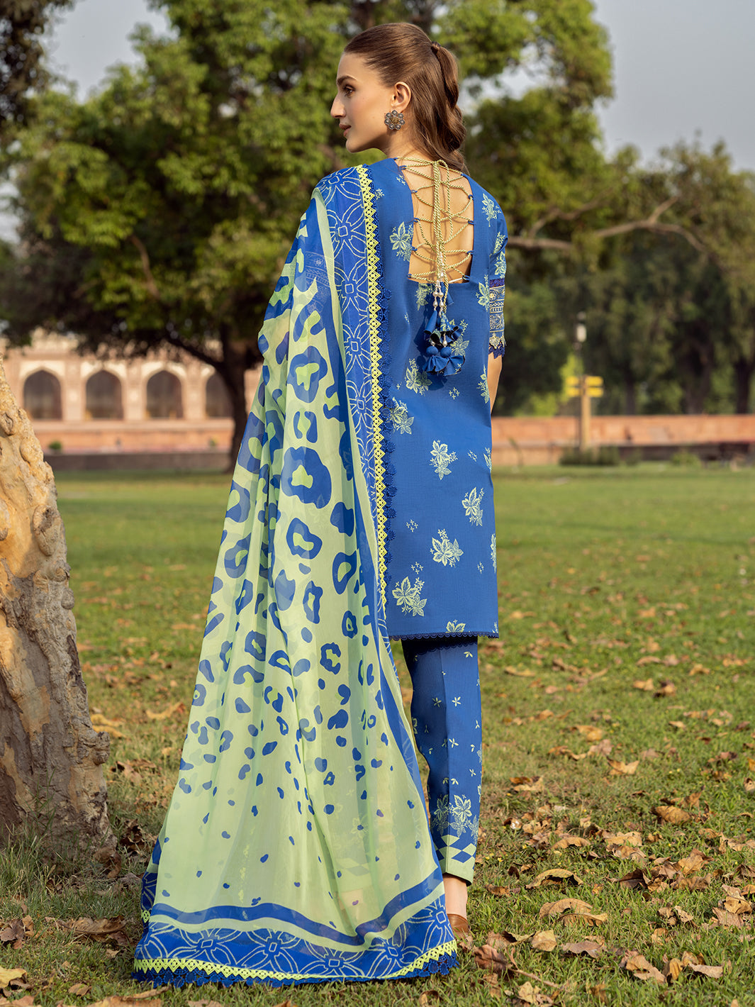 Bin Ilyas | Naqsh Naaz Luxury Lawn 25 | 2088 - B - House Of Hania