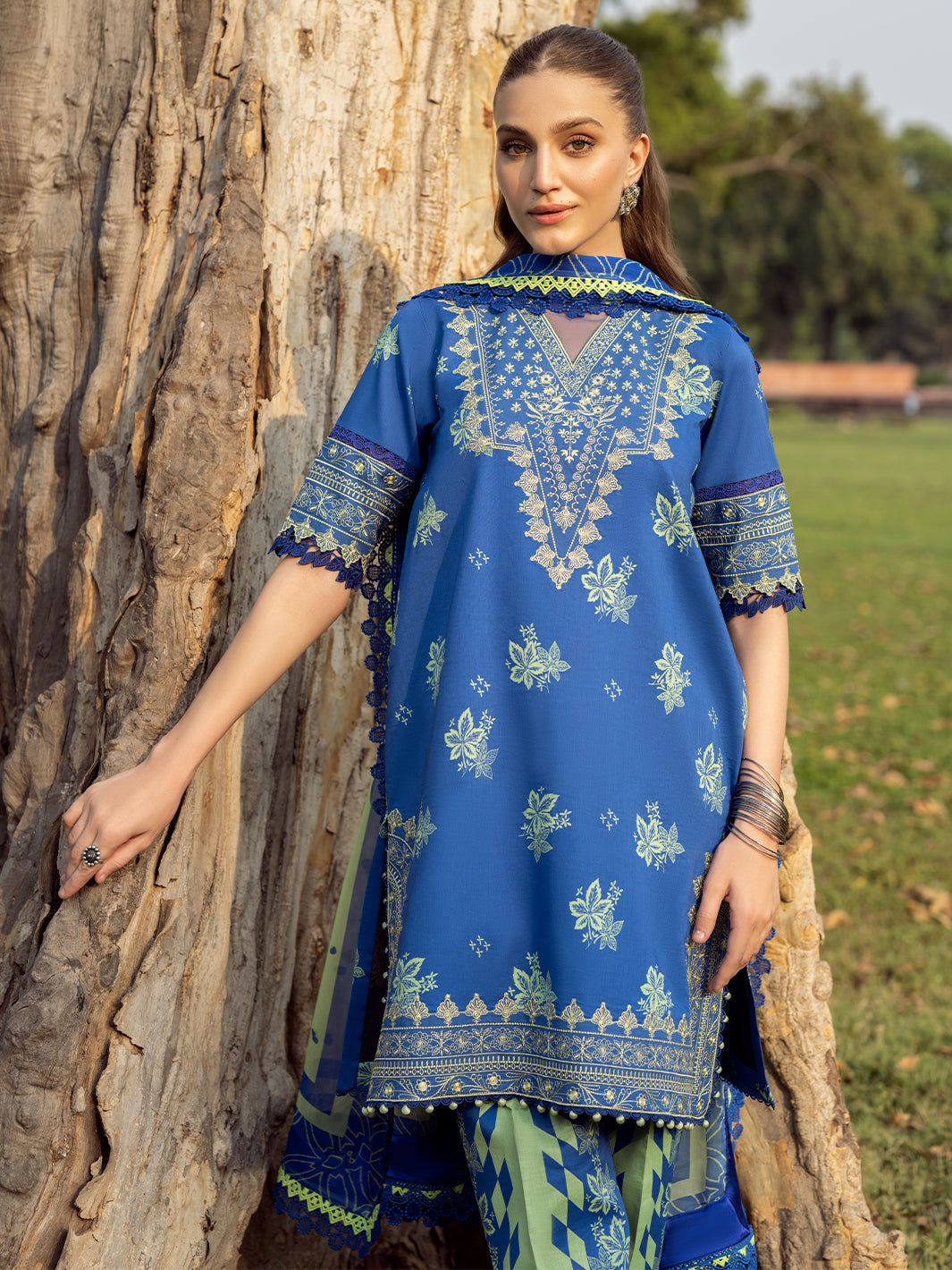 Bin Ilyas | Naqsh Naaz Luxury Lawn 25 | 2088 - B - House Of Hania