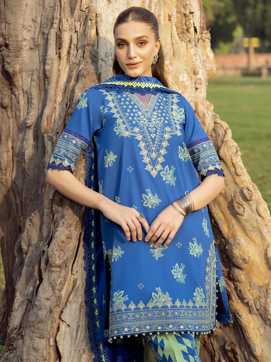 Bin Ilyas | Naqsh Naaz Luxury Lawn 25 | 2088 - B - House Of Hania