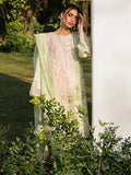 Bin ilyas | Signature Pret 25 | 236 - A | 3 PC Pret - House Of Hania