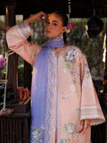 Bin ilyas | Suroor Eid Pret 26 | 241-A - House Of Hania