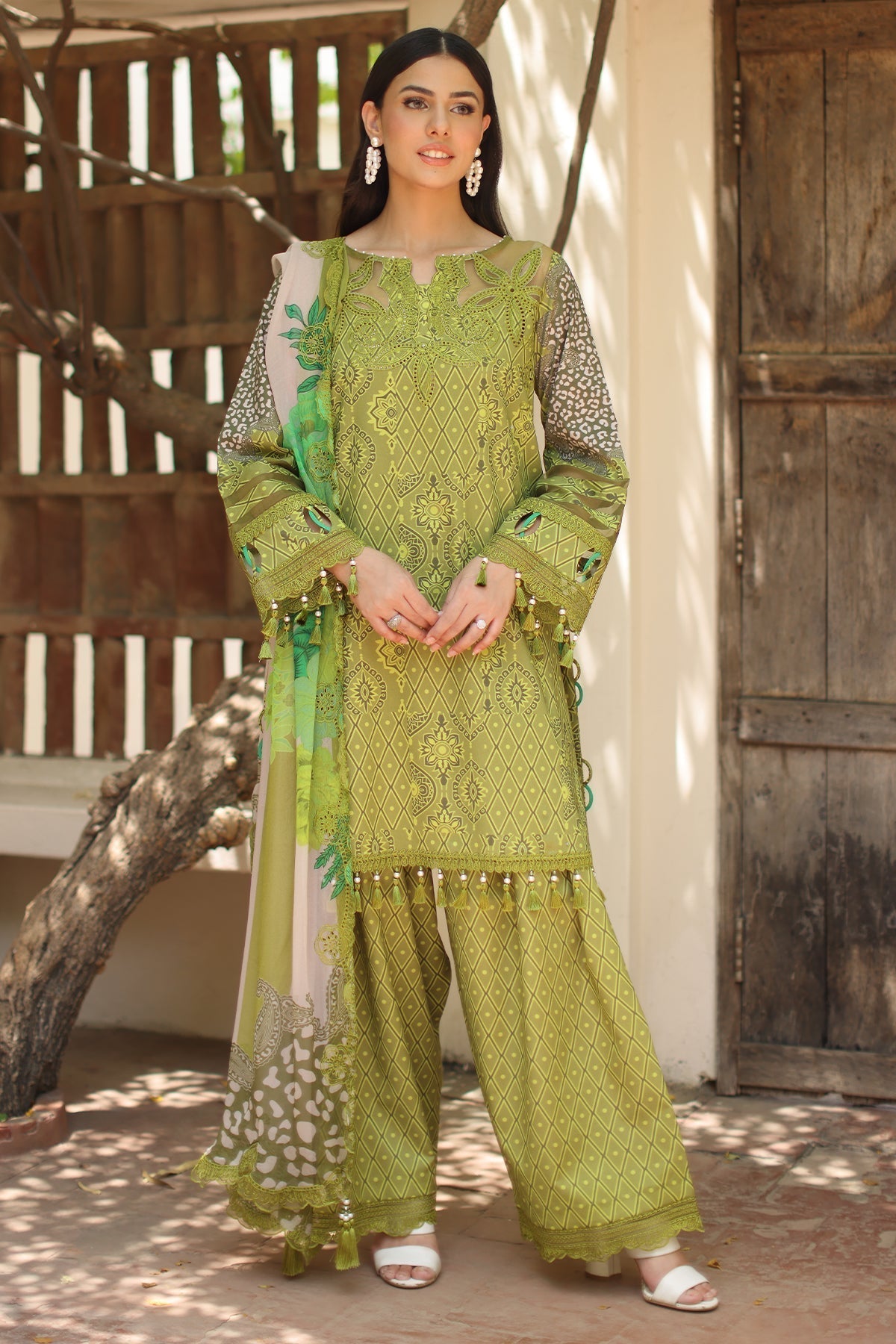 Charizma | Aniq Lawn | AN6-08 - House Of Hania