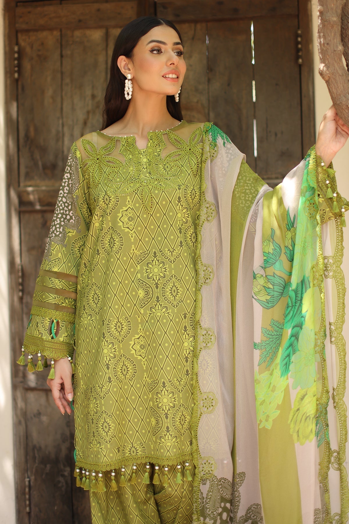 Charizma | Aniq Lawn | AN6-08 - House Of Hania