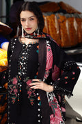 Charizma | Poshima Winters 25 | 3-pc Wool Shawl Collection PSW5-07 - House Of Hania