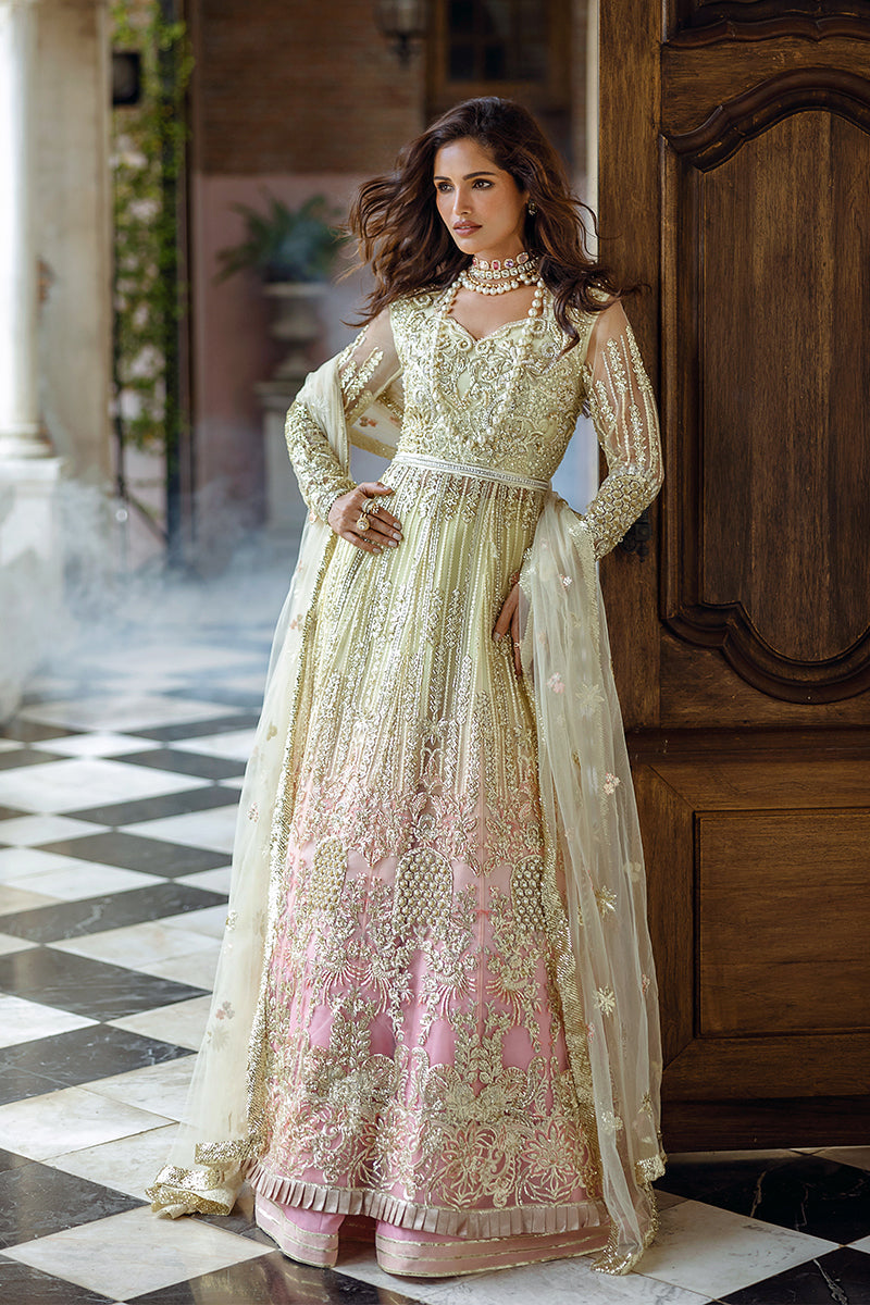 Cosmic Couture| Mushq'24 - House Of Hania