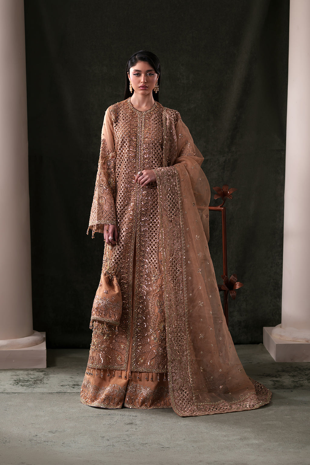 Emaan Adeel Hessonite S0484 embroidered organza suit in warm beige — front view
