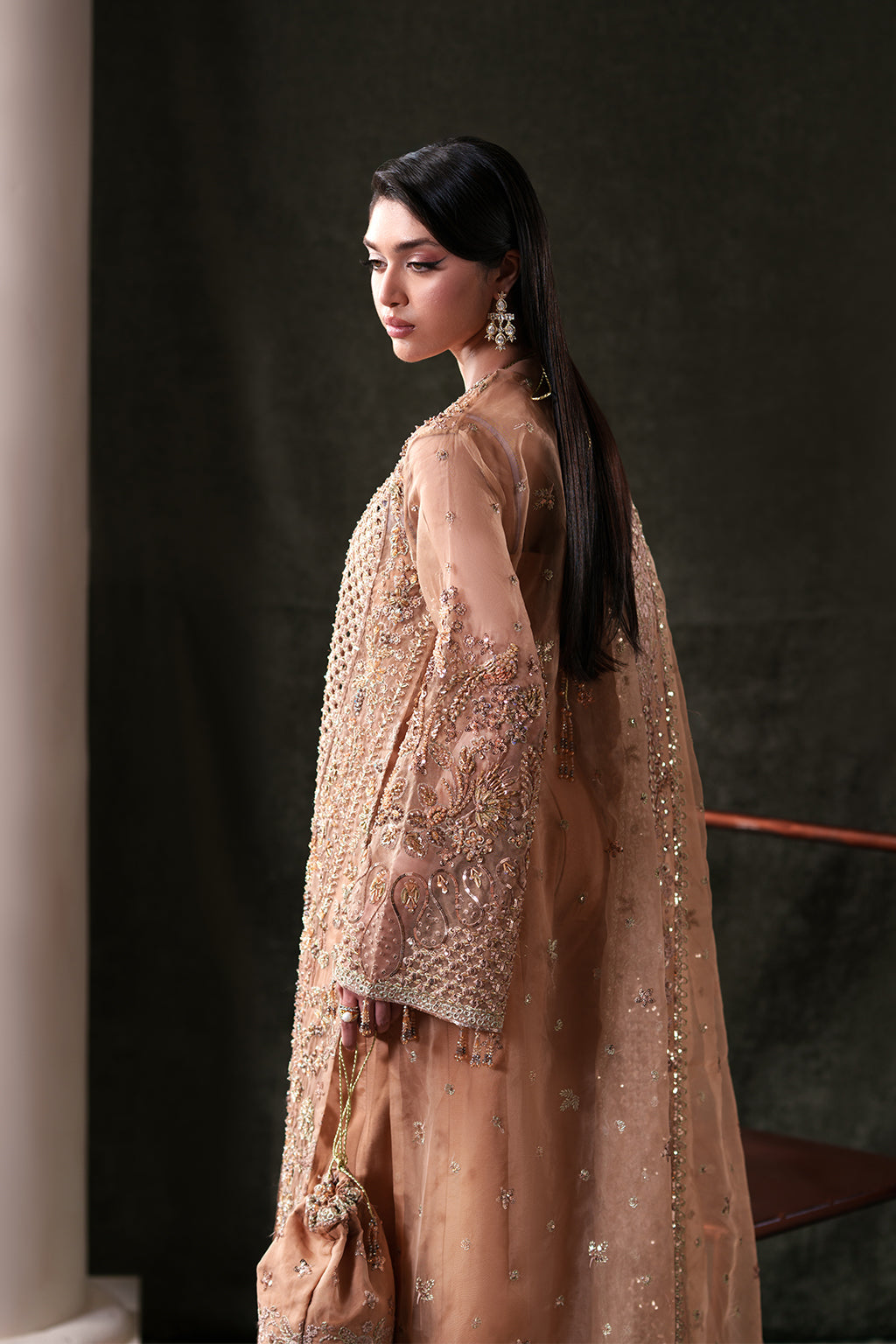 Emaan Adeel Hessonite S0484 embroidered organza suit in warm beige — upper-back view