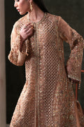 Emaan Adeel Hessonite S0484 embroidered organza suit in warm beige — embroidery close-up