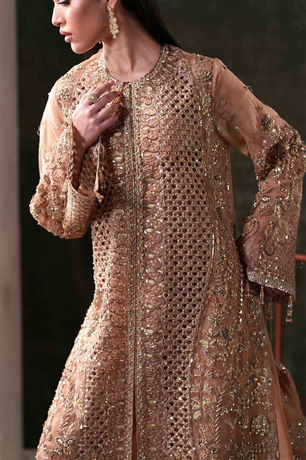 Emaan Adeel Hessonite S0484 embroidered organza suit in warm beige — embroidery close-up