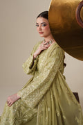 Emaan Adeel NOLA S0443 chiffon outfit in light olive green — upper-body view