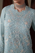 Emaan Adeel ARIA S0449 chiffon outfit in pale blue — embroidery close-up