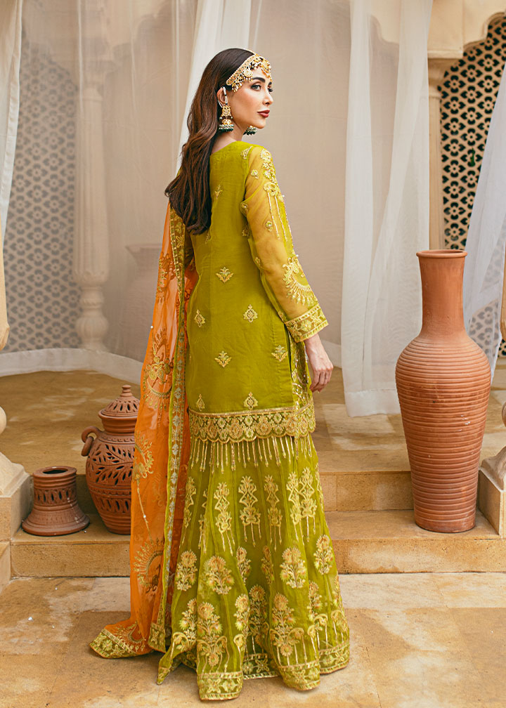 Daud Abbas | Formals Collection | Henna - House Of Hania