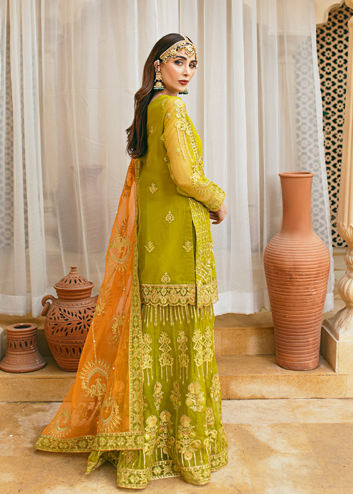 Daud Abbas | Formals Collection | Henna - House Of Hania