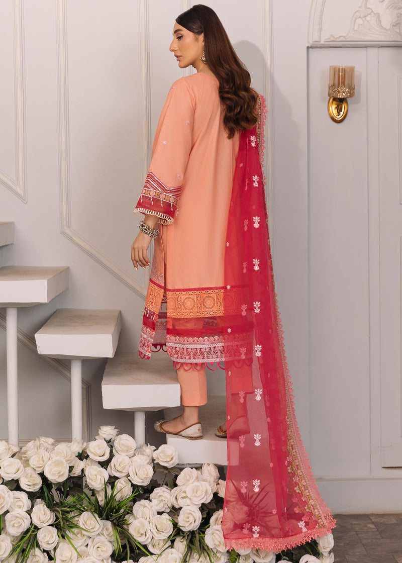 Daud Abbas | Formals Collection | Mehrma - House Of Hania