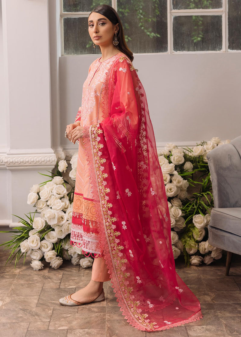 Daud Abbas | Formals Collection | Mehrma - House Of Hania
