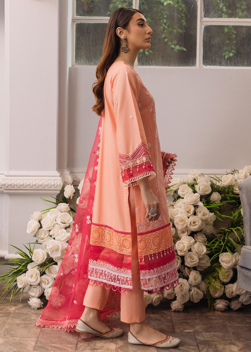 Daud Abbas | Formals Collection | Mehrma - House Of Hania