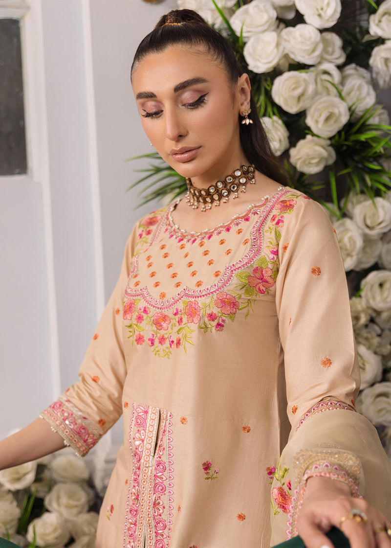 Daud Abbas | Formals Collection | Naimal - House Of Hania