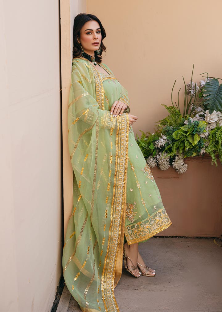 Daud Abbas | Formals Collection | Sunahri - House Of Hania