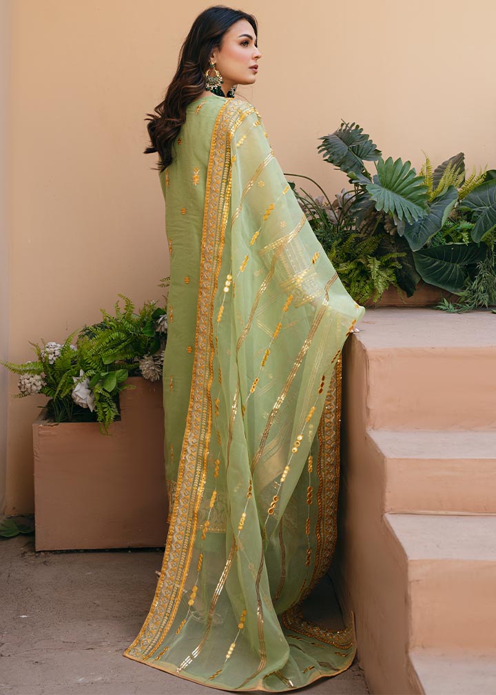 Daud Abbas | Formals Collection | Sunahri - House Of Hania
