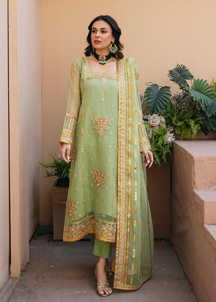 Daud Abbas | Formals Collection | Sunahri - House Of Hania