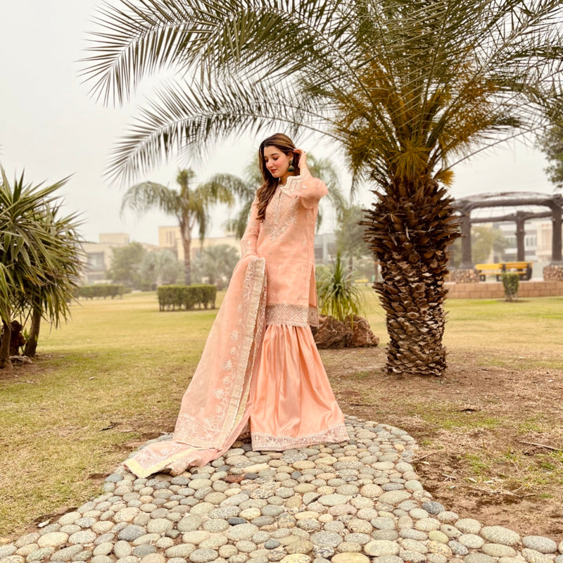 Daud Abbas | Formals Collection | Zaira - House Of Hania