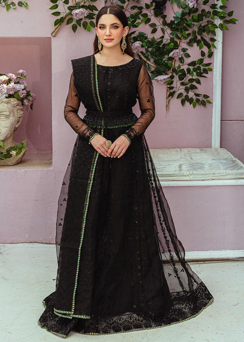 Daud Abbas | Formals Collection | Ziva - House Of Hania