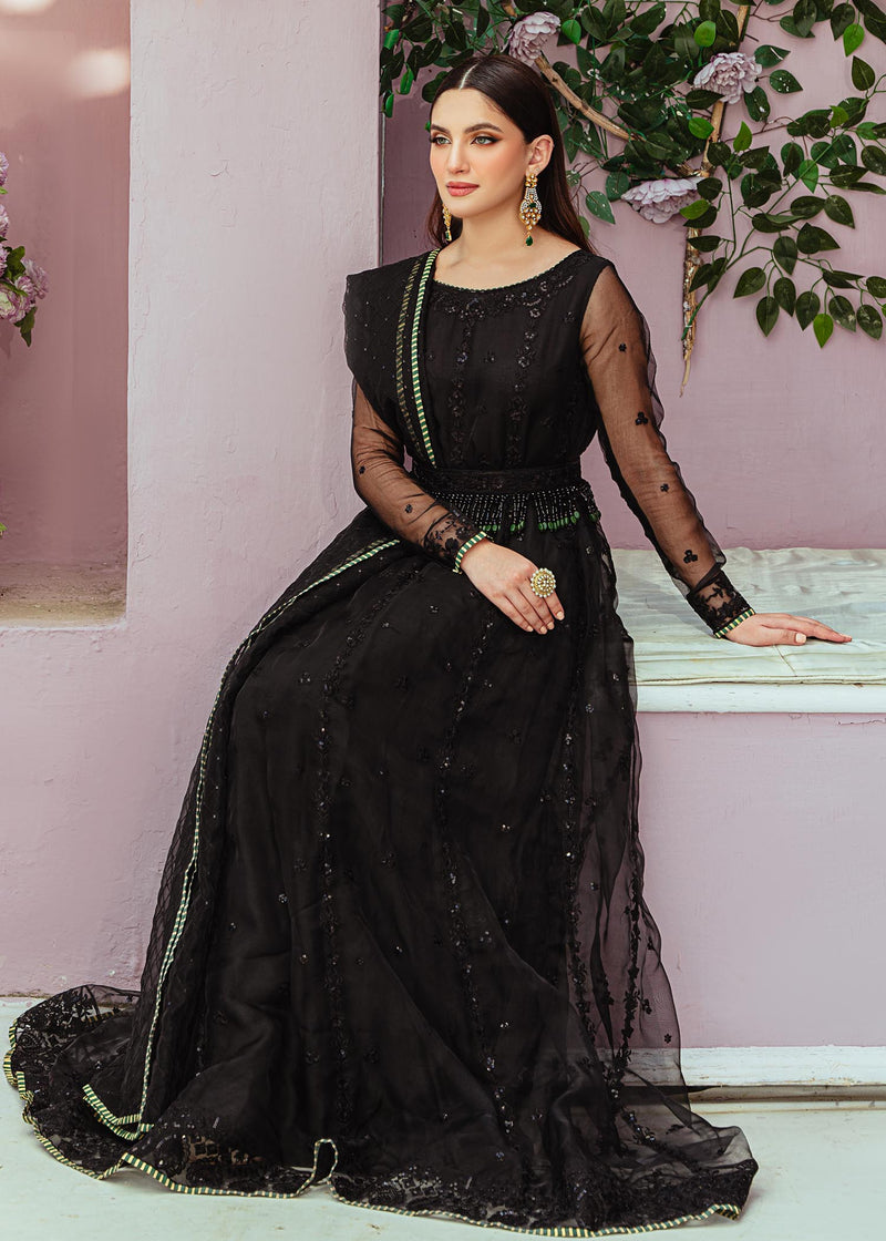 Daud Abbas | Formals Collection | Ziva - House Of Hania