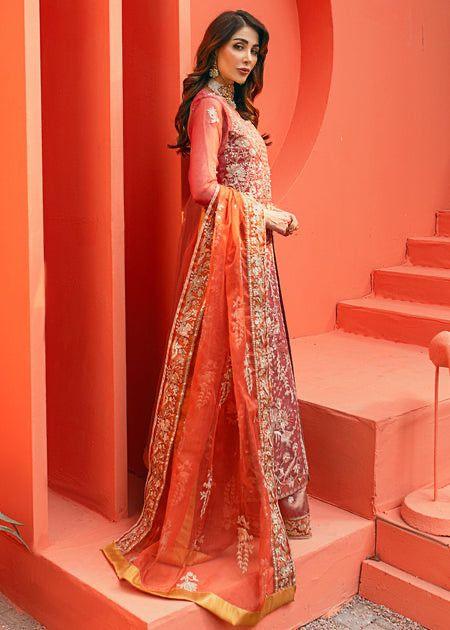 Daud Abbas - Nilofer - House Of Hania