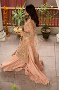 Zarin by Eleshia Embroidered Net 3Pc Suit D-02 Leena - House Of Hania