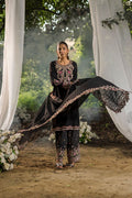 Dhanak | Jardin- Festive Stitched | SS25DU-3209 BLACK 3Pcs - House Of Hania