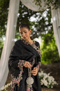 Dhanak | Jardin- Festive Stitched | SS25DU-3209 BLACK 3Pcs - House Of Hania