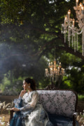 Dhanak | Jardin- Festive Stitched | SS25DU-3213 GREY 3Pcs - House Of Hania