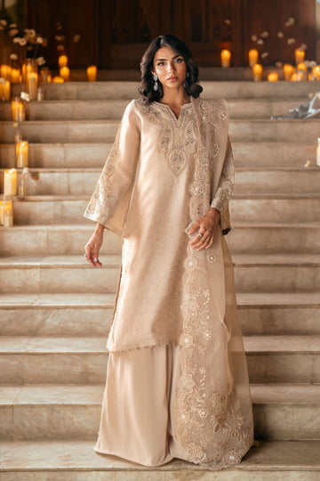 Dhanak | Luxury Pret | FW25DL-0349 - House Of Hania