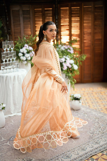 Dhanak | Luxury Pret | SS25DL-0330 - House Of Hania