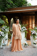 Dhanak | Luxury Pret | SS25DL-0330 - House Of Hania
