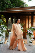 Dhanak | Luxury Pret | SS25DL-0330 - House Of Hania