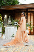 Dhanak | Luxury Pret | SS25DL-0330 - House Of Hania