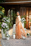Dhanak | Luxury Pret | SS25DL-0330 - House Of Hania