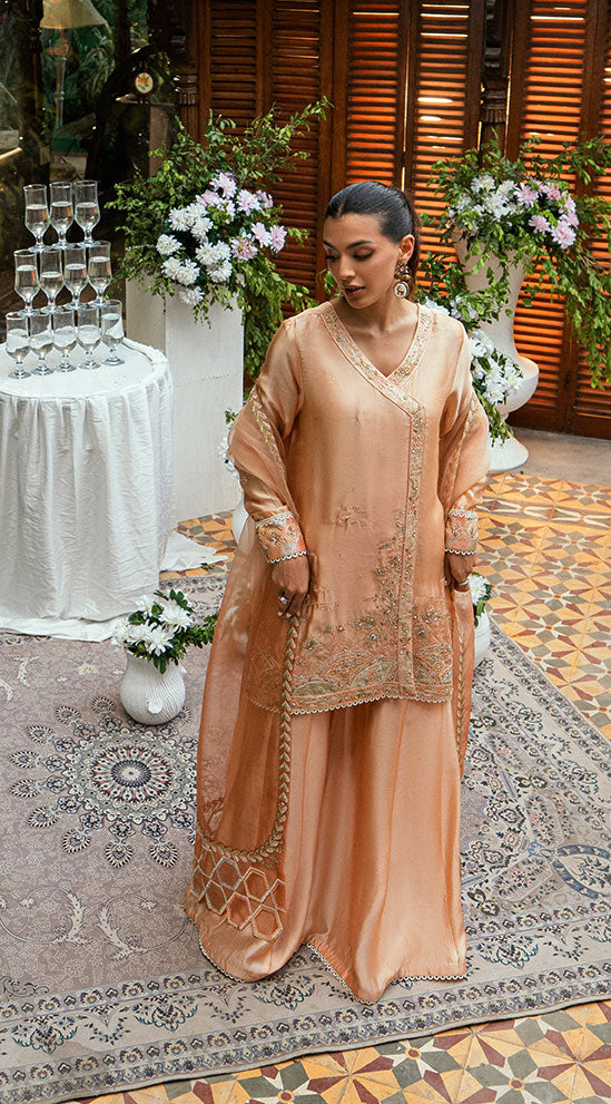 Dhanak | Luxury Pret | SS25DL-0330 - House Of Hania