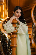 Dhanak | Luxury Pret | SS25DL-0335 - House Of Hania